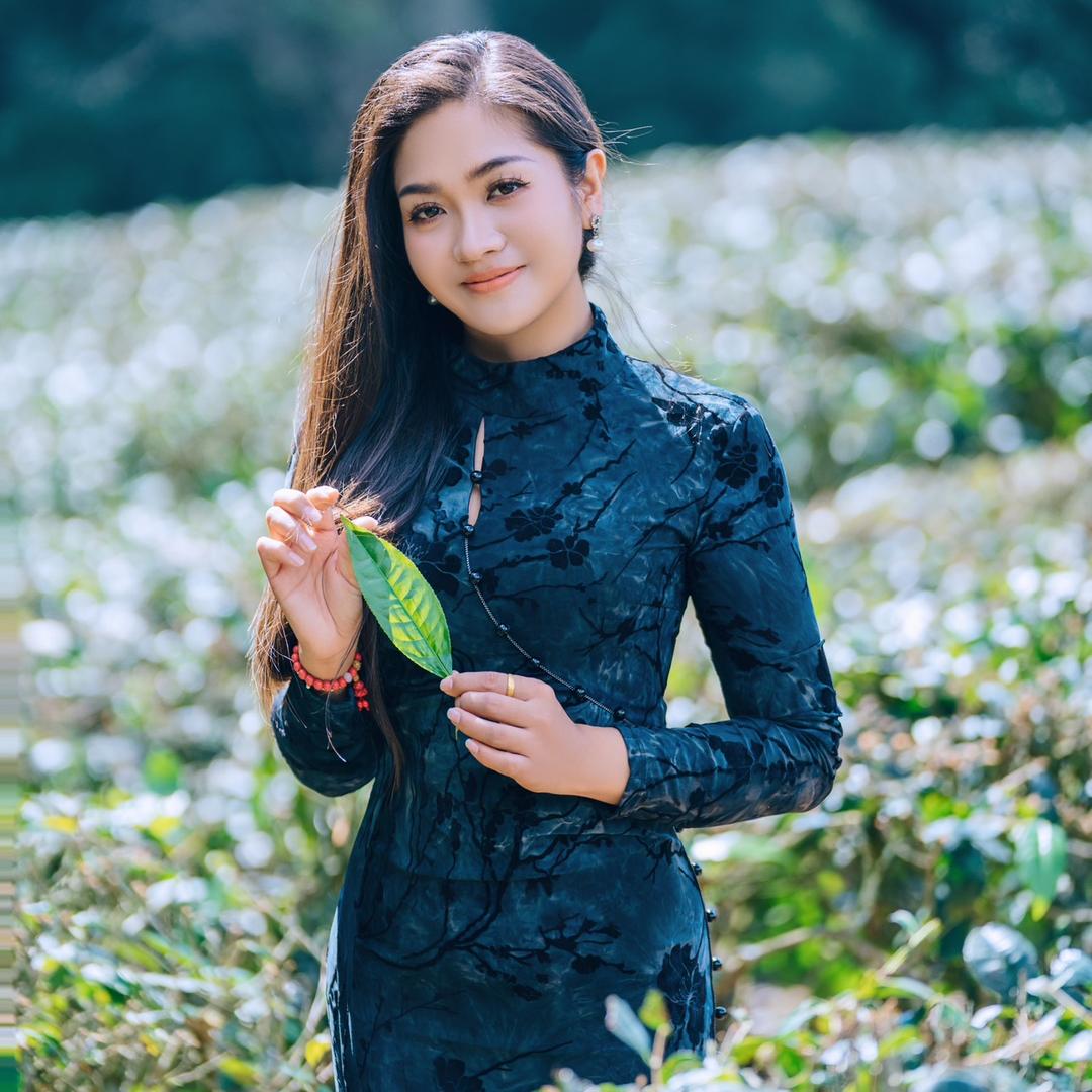 云南茶妹🍵