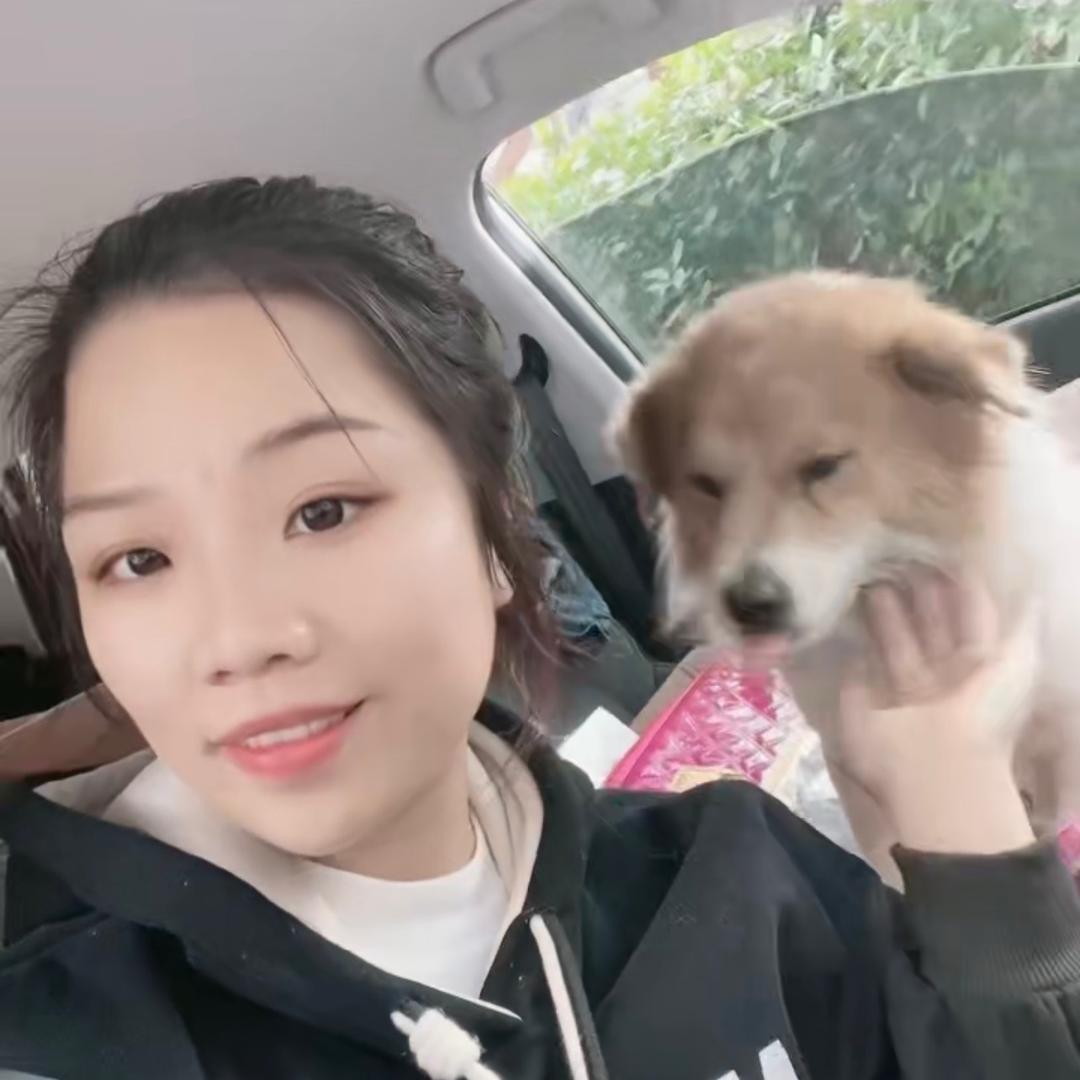 燕子和来福@抖音