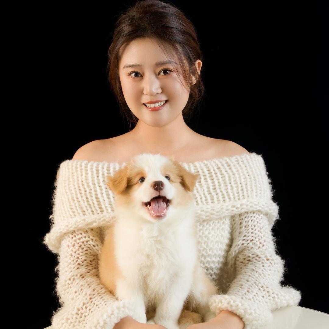 ✅莱喜家的小边牧（直播5号）