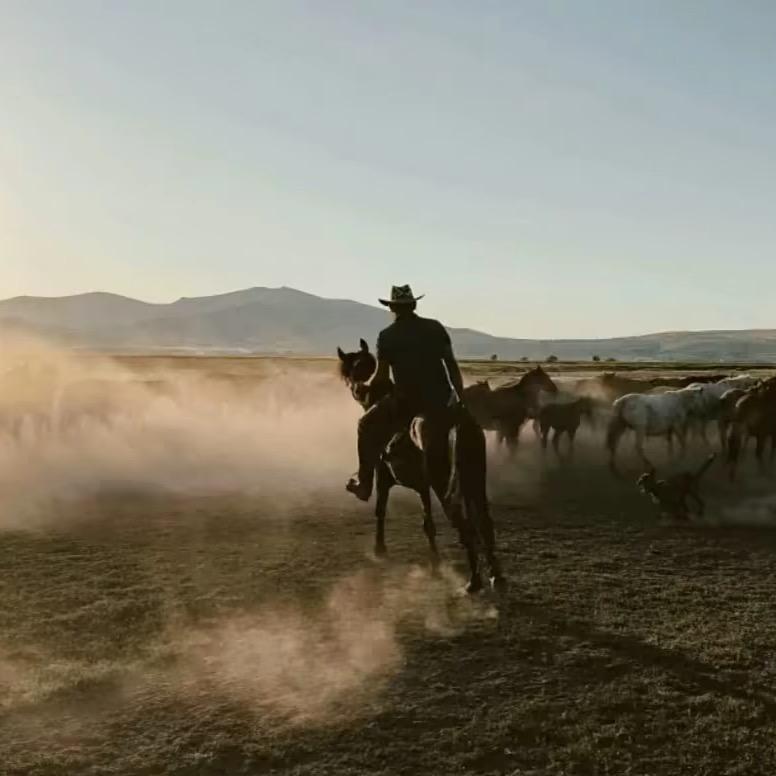 人傻嘴甜长得不帅还没钱