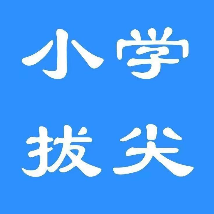 小学学霸资料