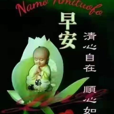 老玩童