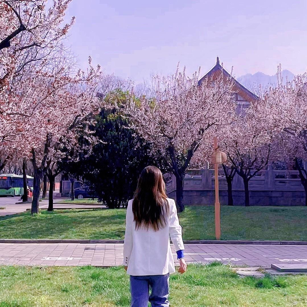 江山美人静.