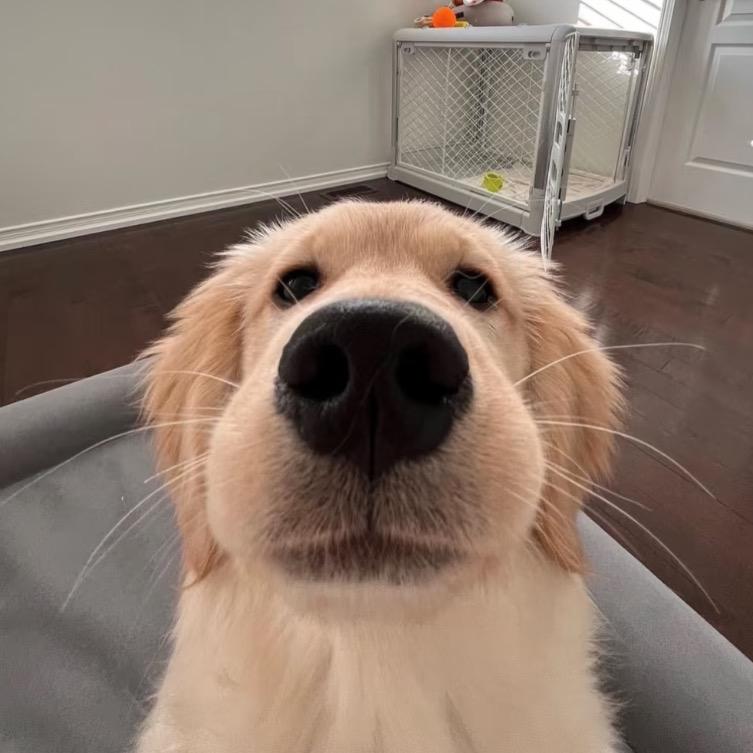 不奕