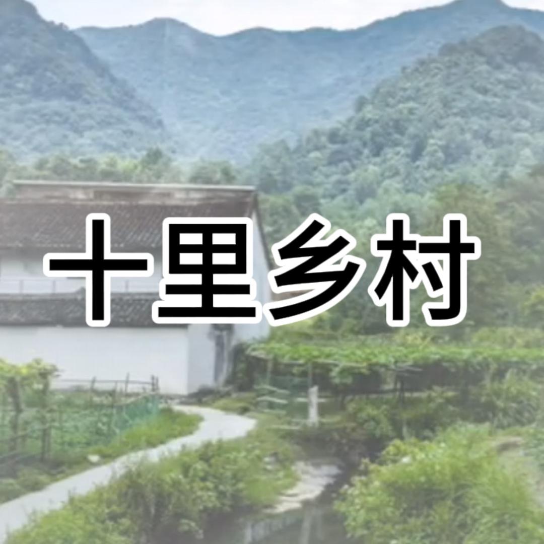 十里乡村土特产