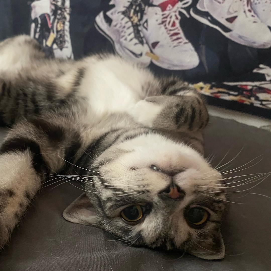 尖椒干豆腐老咸了