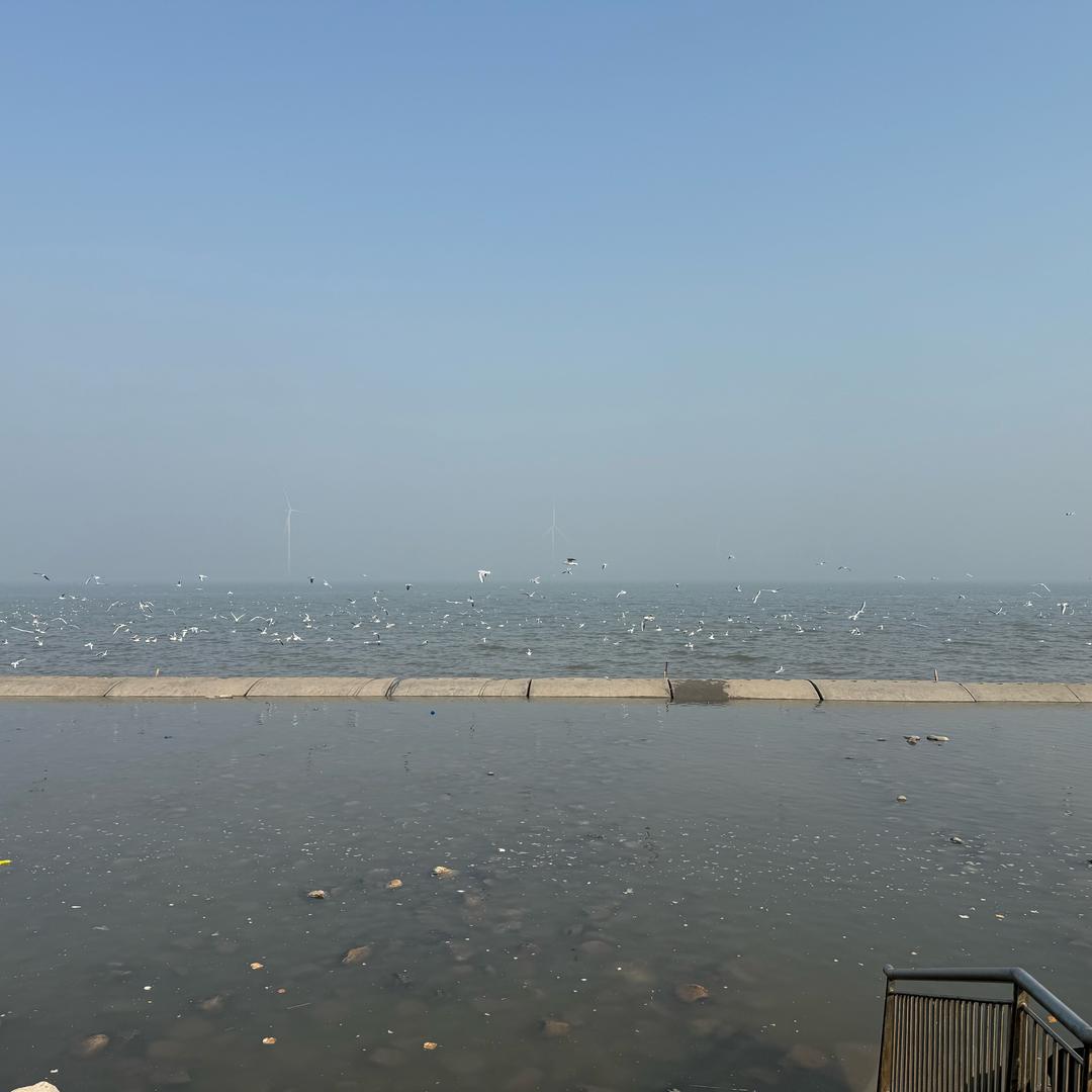 又活了一天