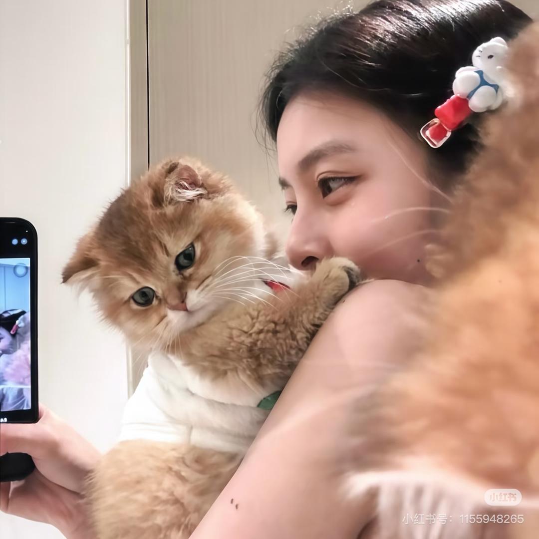 士多啤梨苹果橙