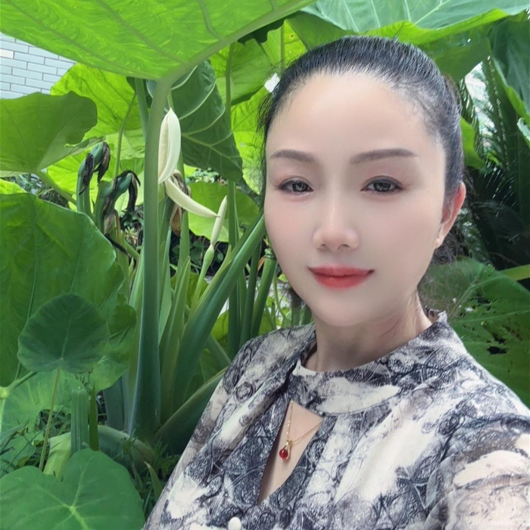 灵芝🍀