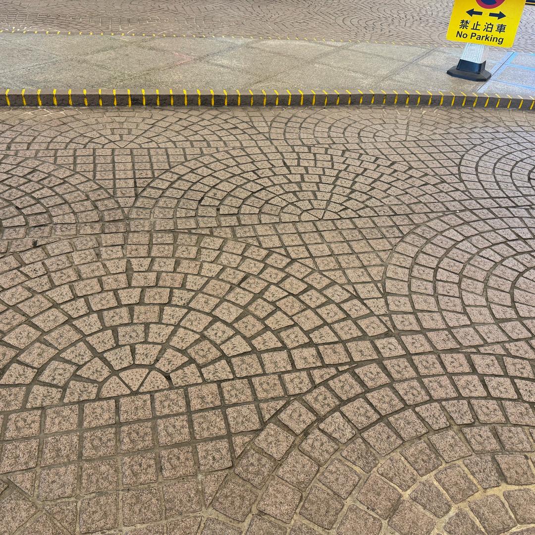 耶莉亚zZ
