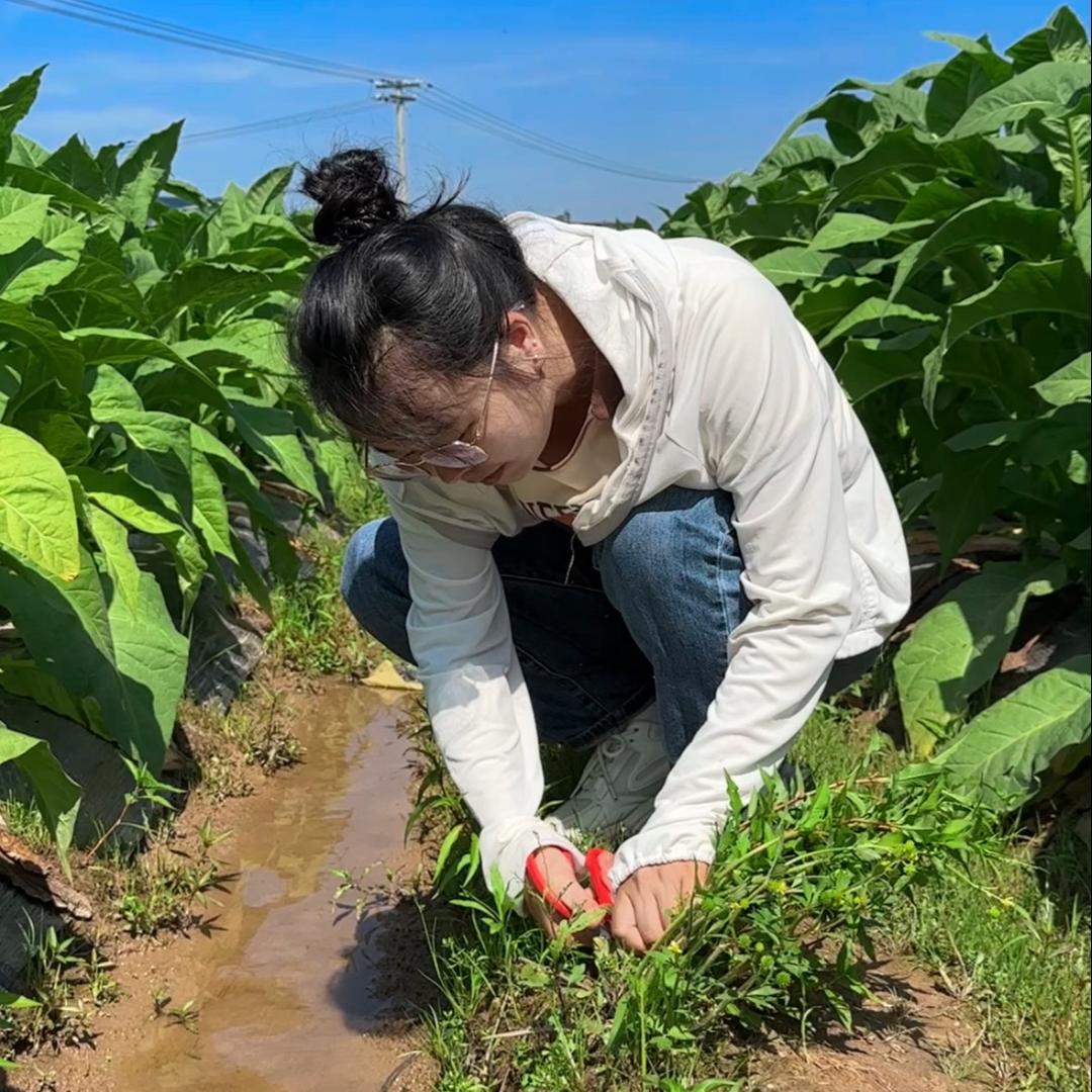 乡野植说