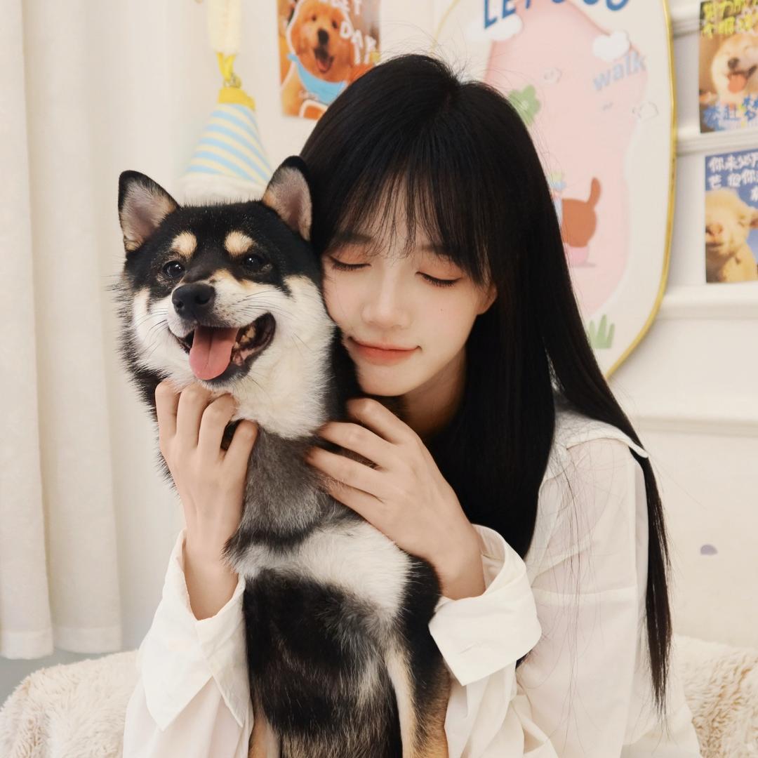 眠羊咩咩
