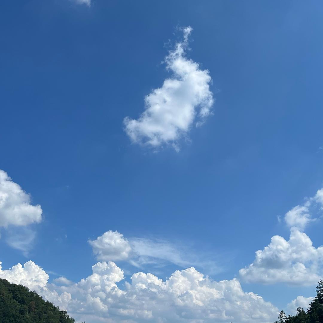 乡村生活