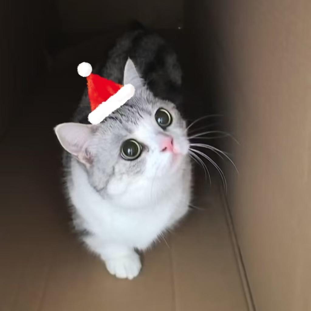 沙尘暴小鱼ᴹⁱⁿ