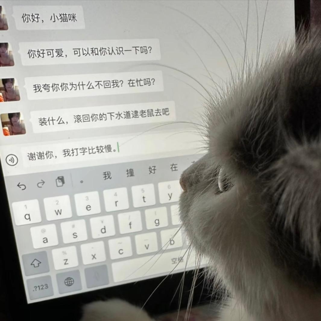 涟漪z