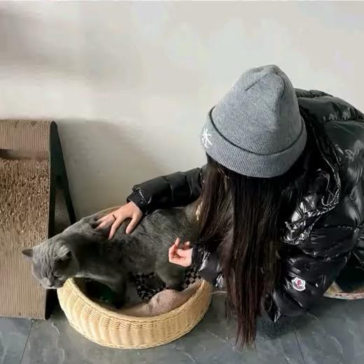 ︋︋︋︋︋   ㅤㅤㅤㅤ