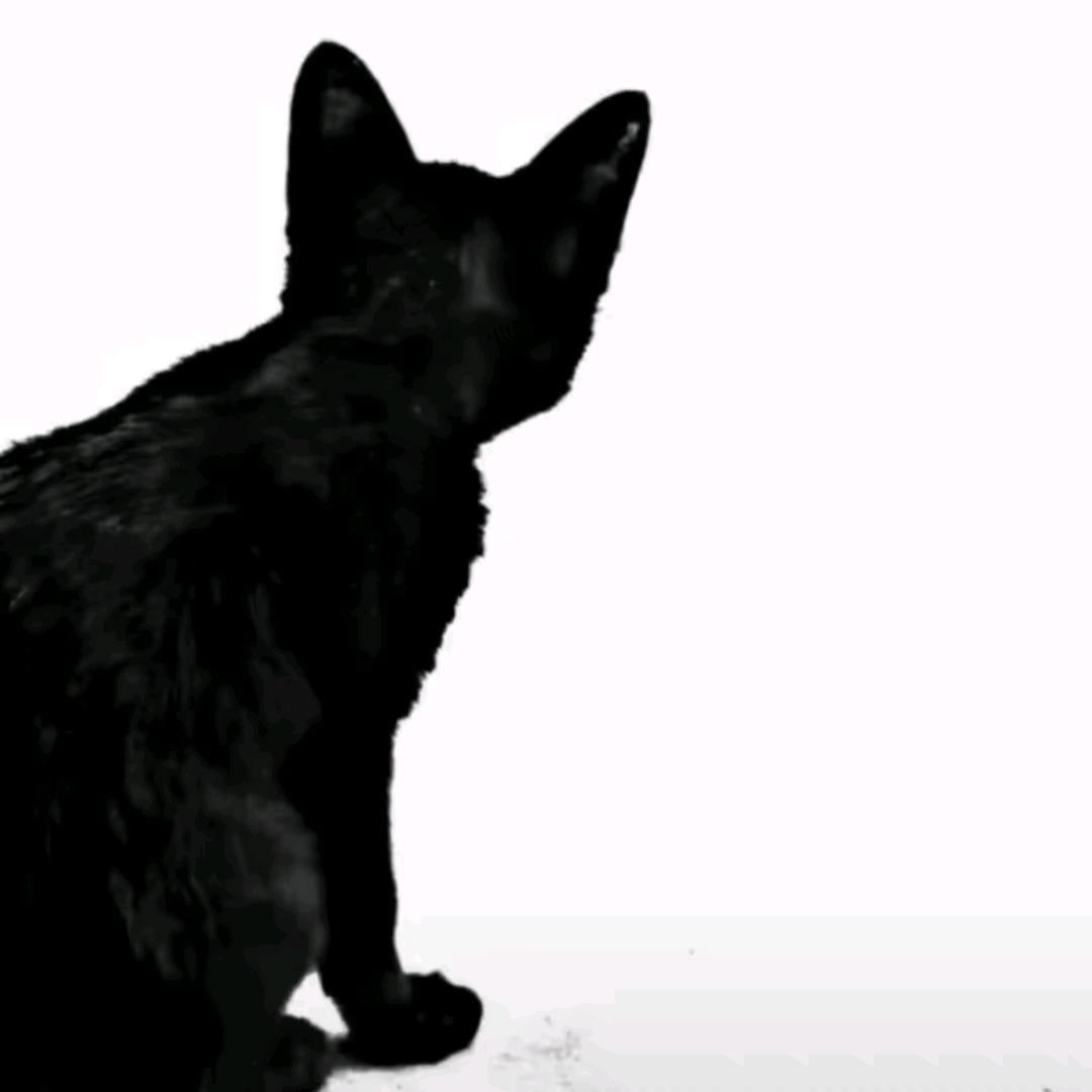阿阳