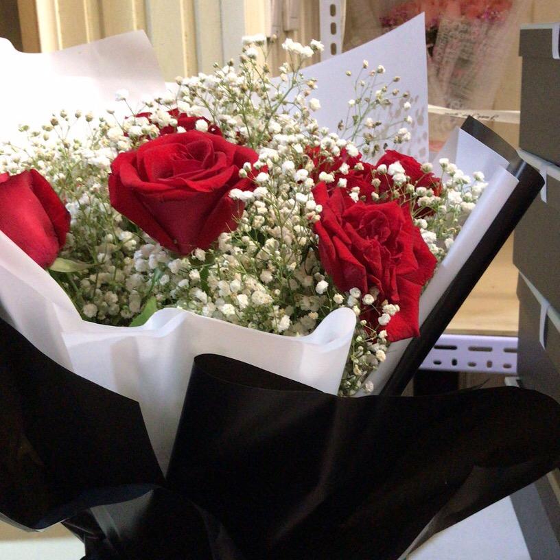 一片丹心向阳开