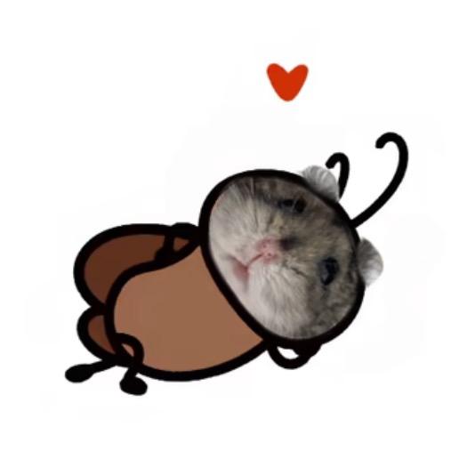 吃什么吃