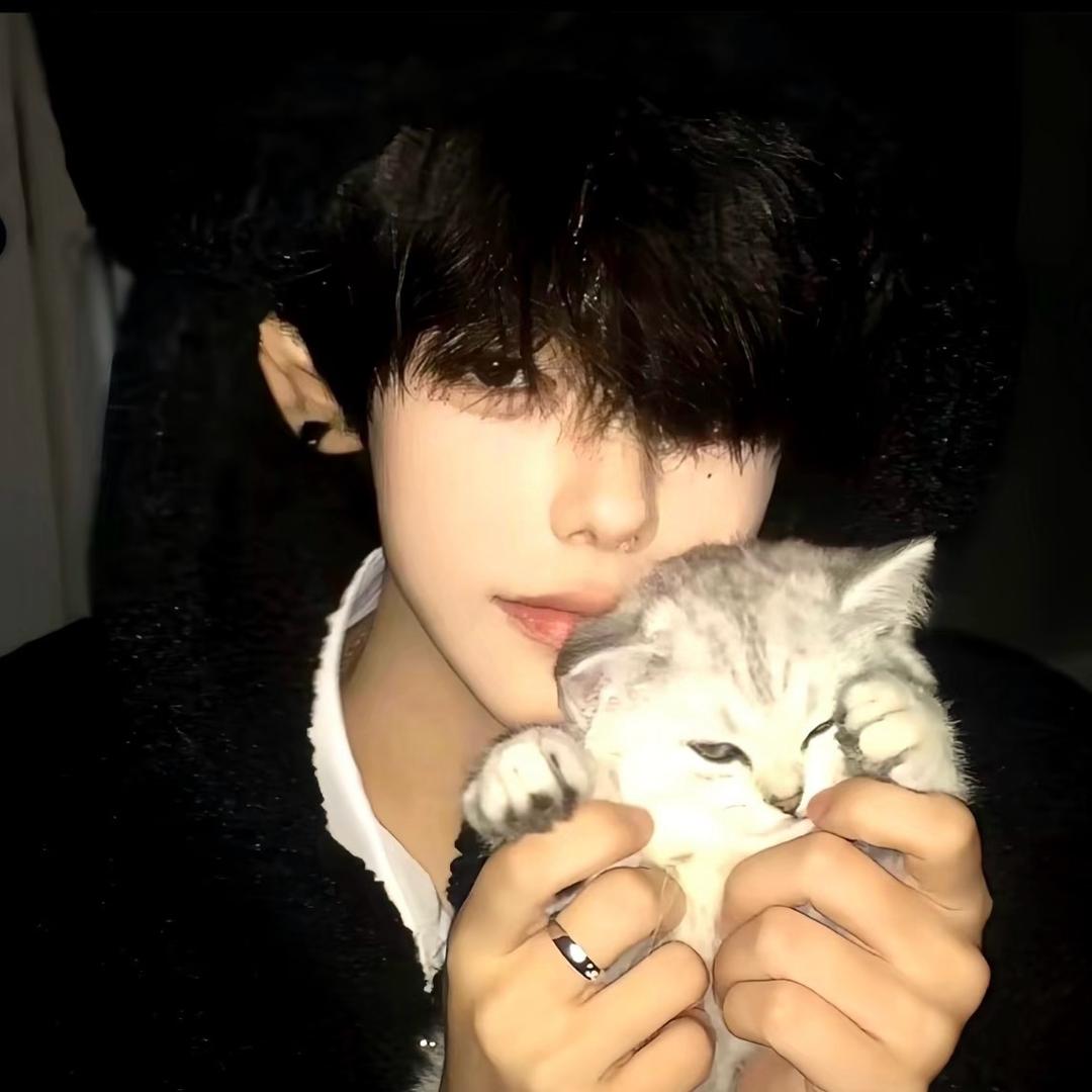 不过期的秋刀鱼🐟