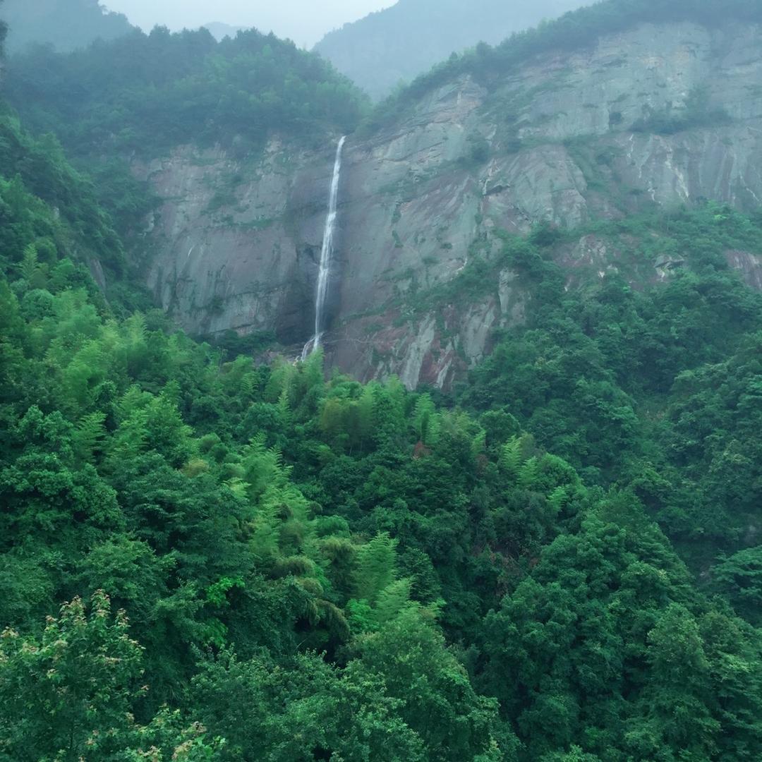 陈姐蔬菜批发商行B六