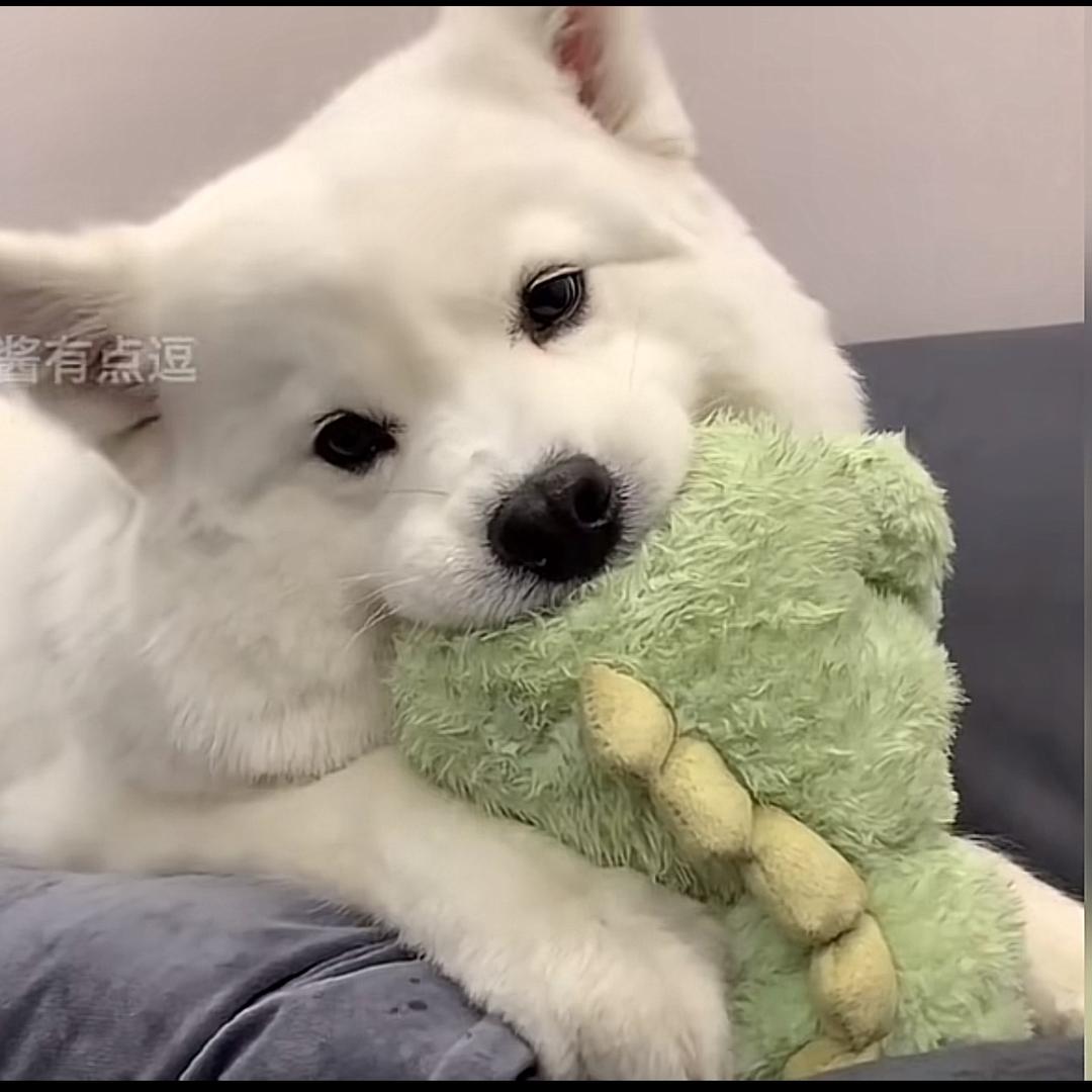 lotus荷亭