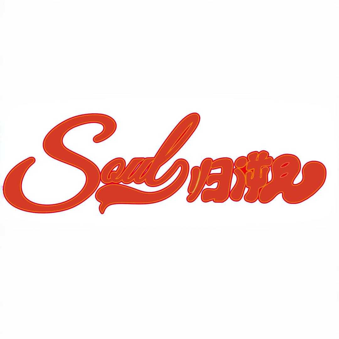 Soul归溯