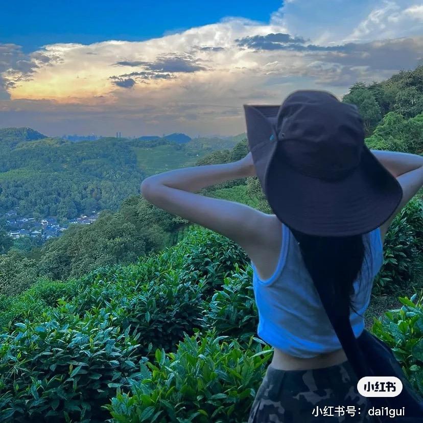 白鸽🕊