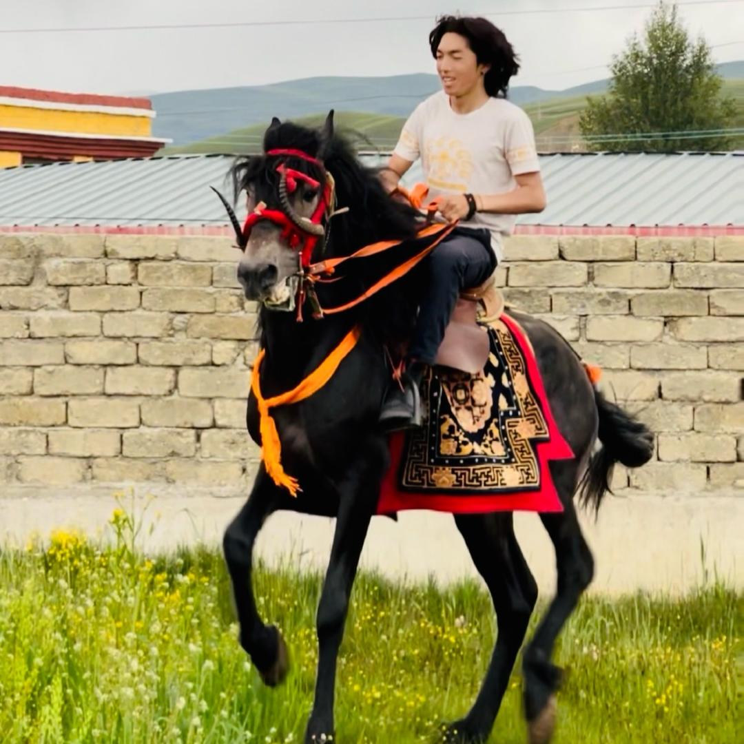 藏族小伙🐴