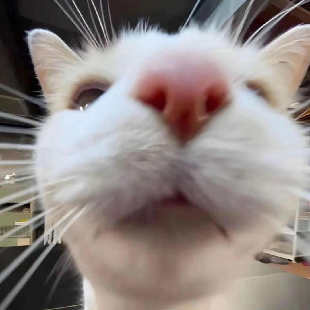 小火慢炖的粥🥣