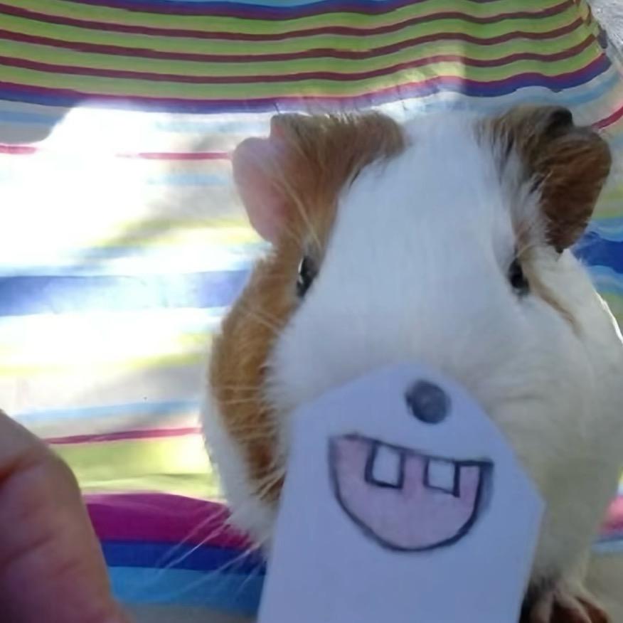 我和你们不同时活着