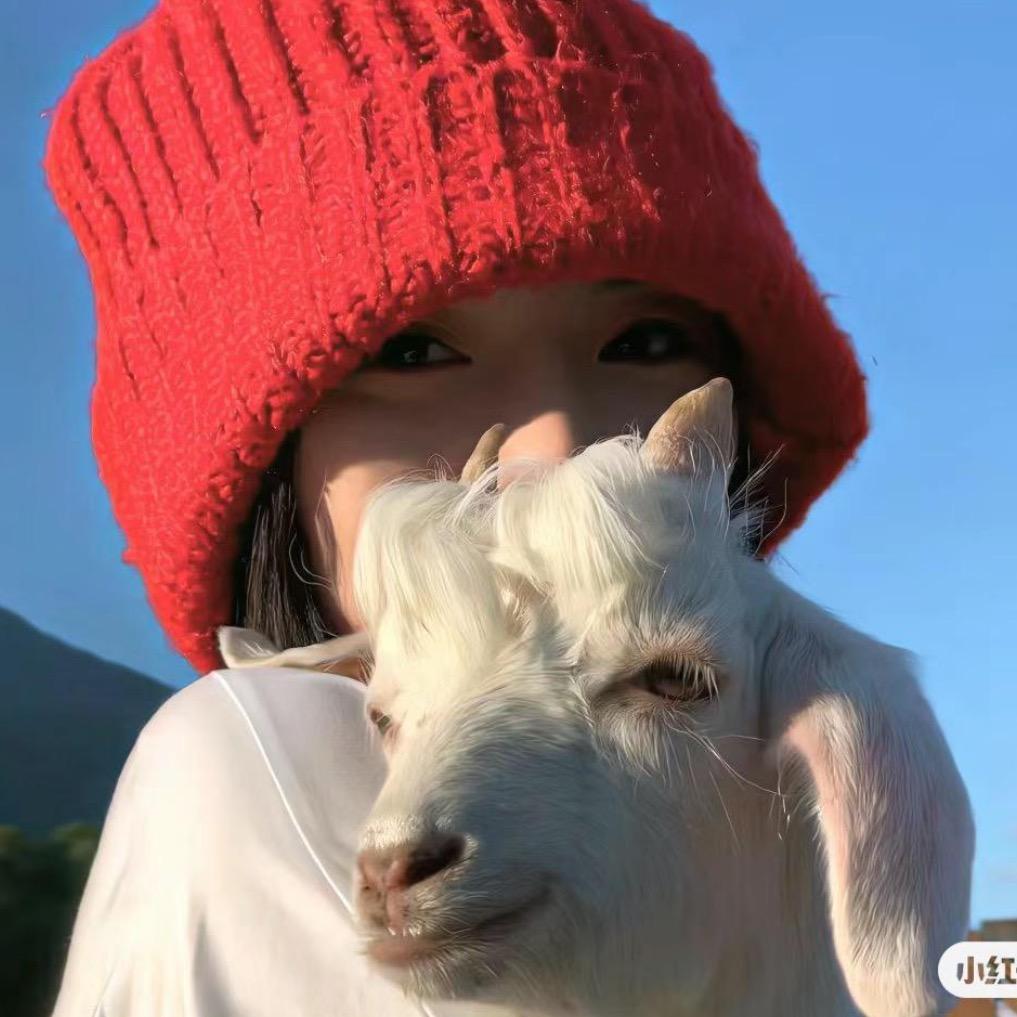 荷花妹