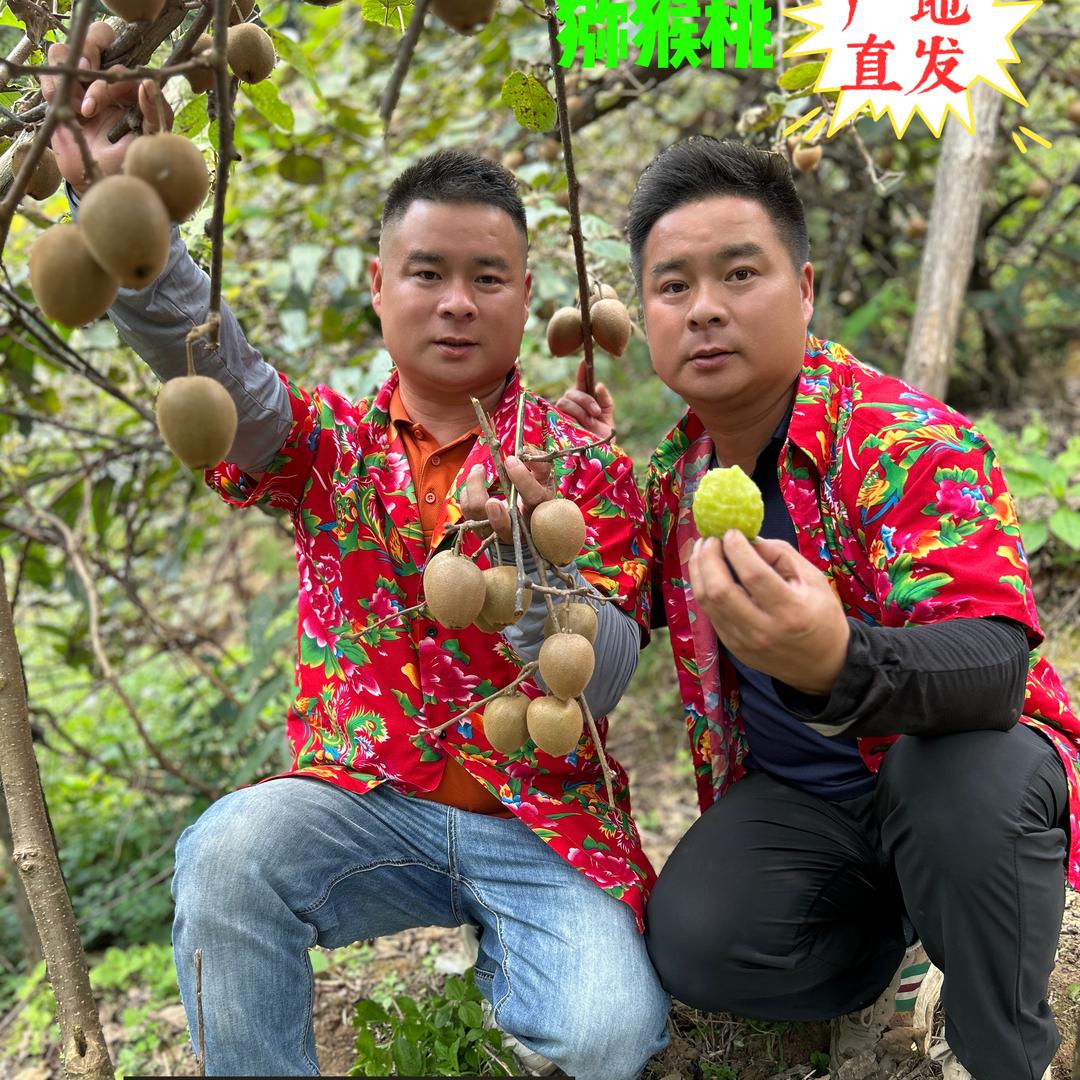 花瑶.甄选（武哥）