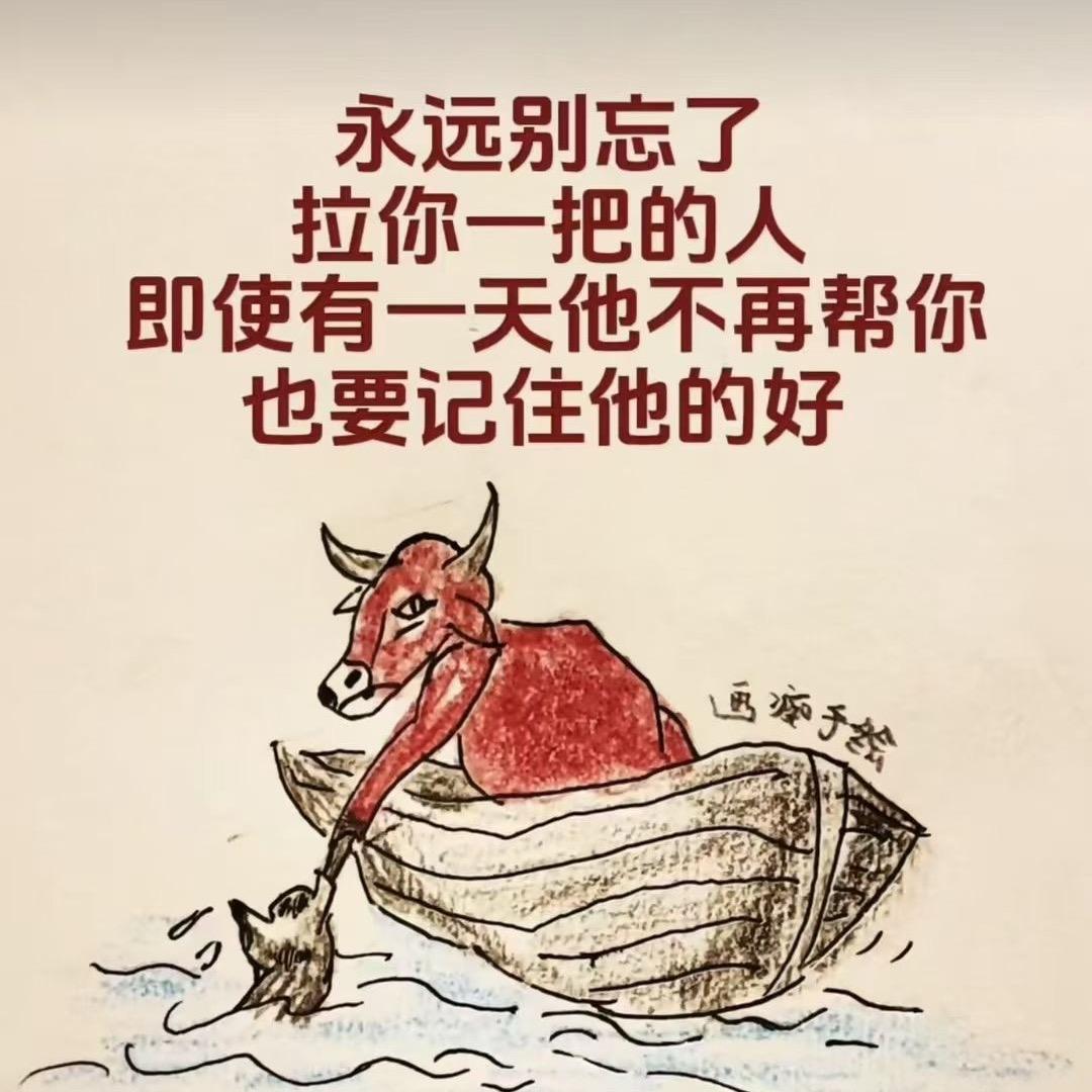 淡淡人生静静过