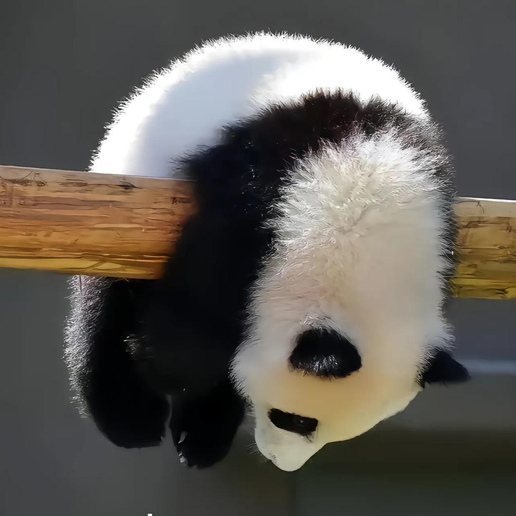 悦动｜正气浩然@抖音