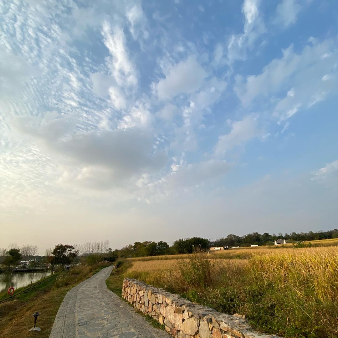 旅行日记