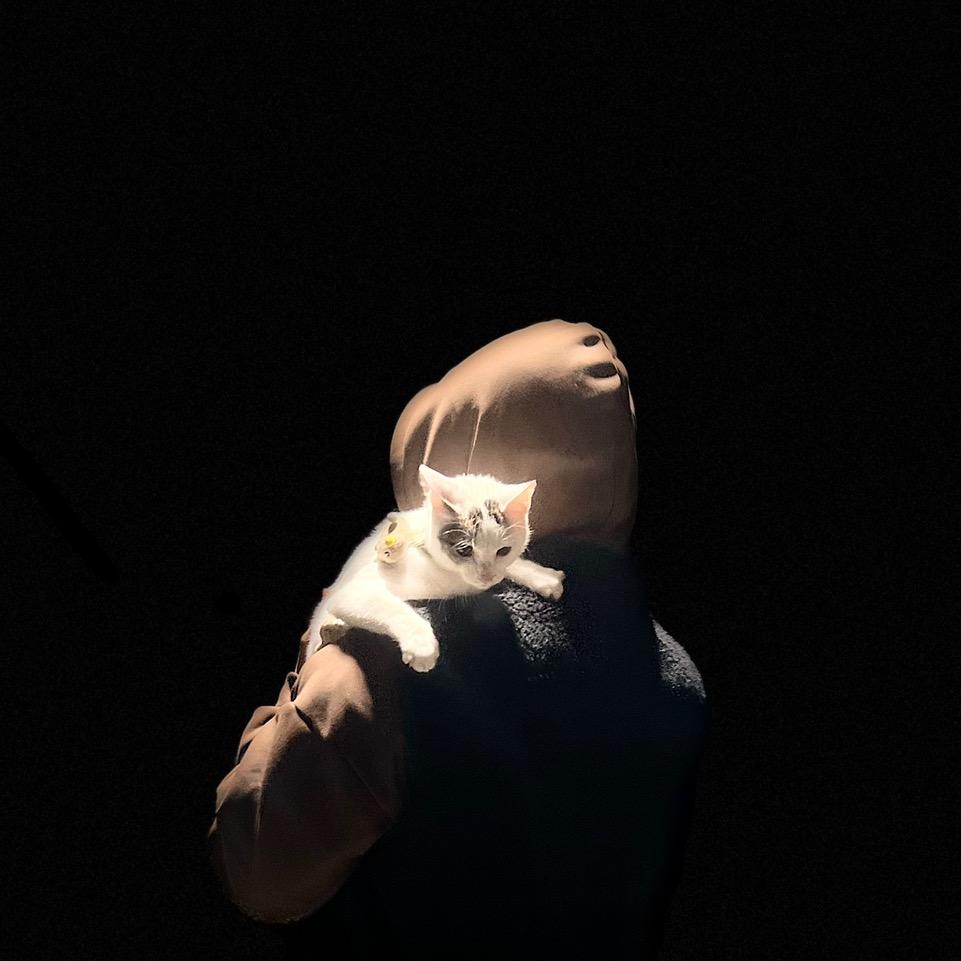 伪
