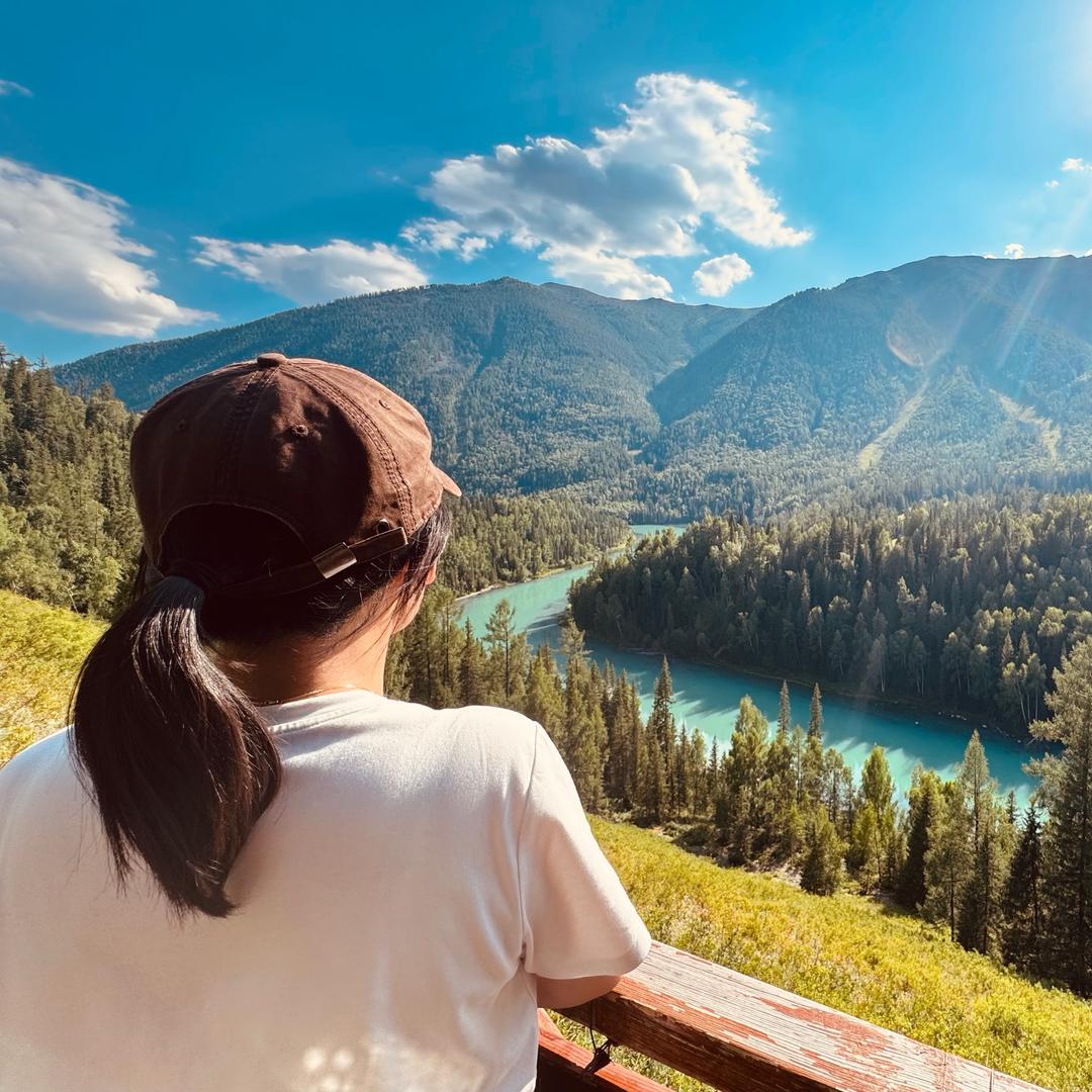 想念童年的梧桐树🍁