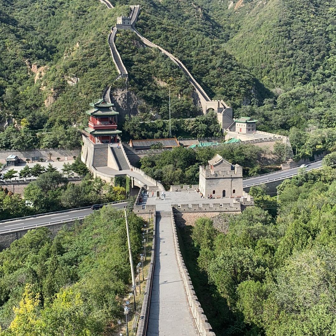 独自去偷欢