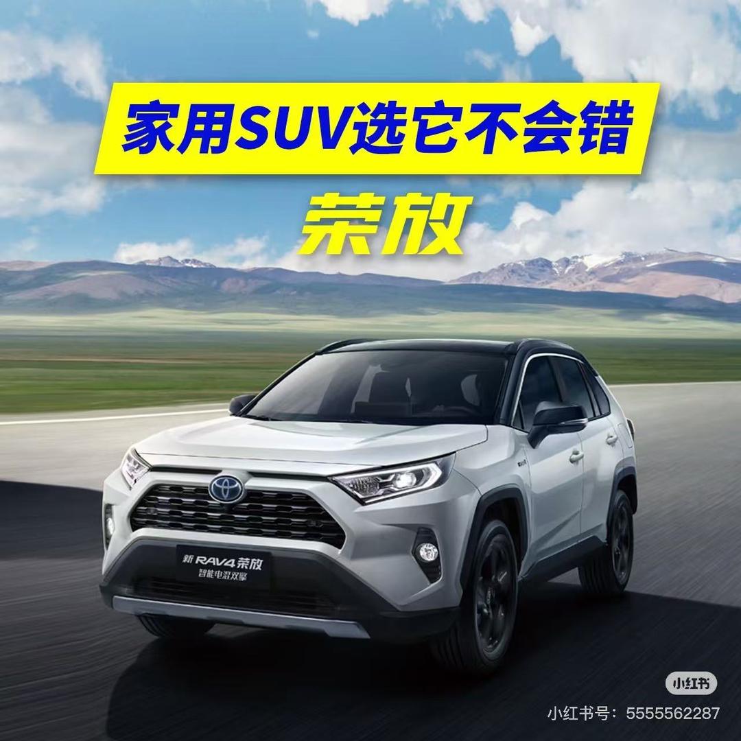 会说车的闪闪-