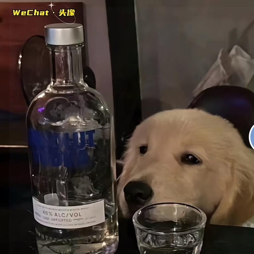 11@