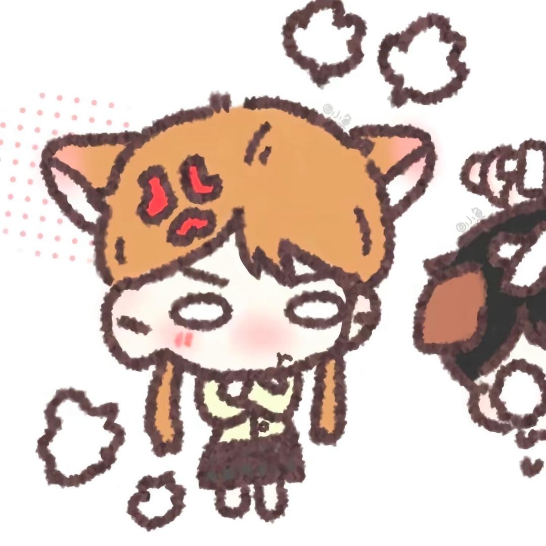 带派猫屎