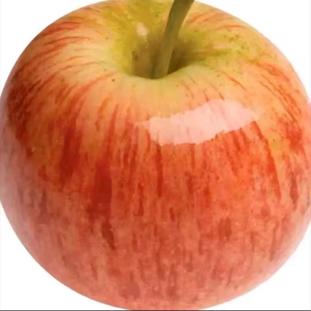 铭天吃什么՞•･•՞