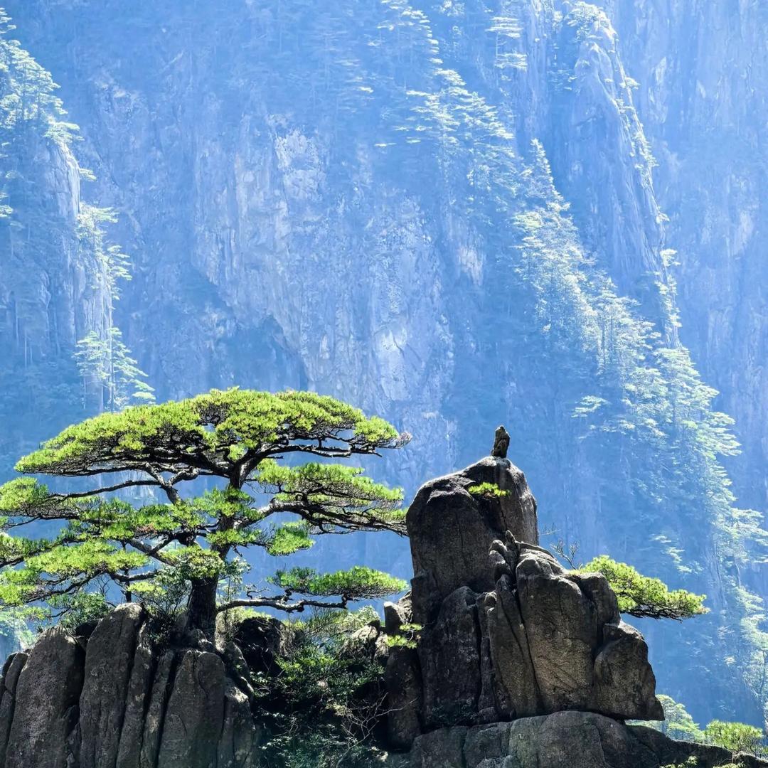 李沐3
