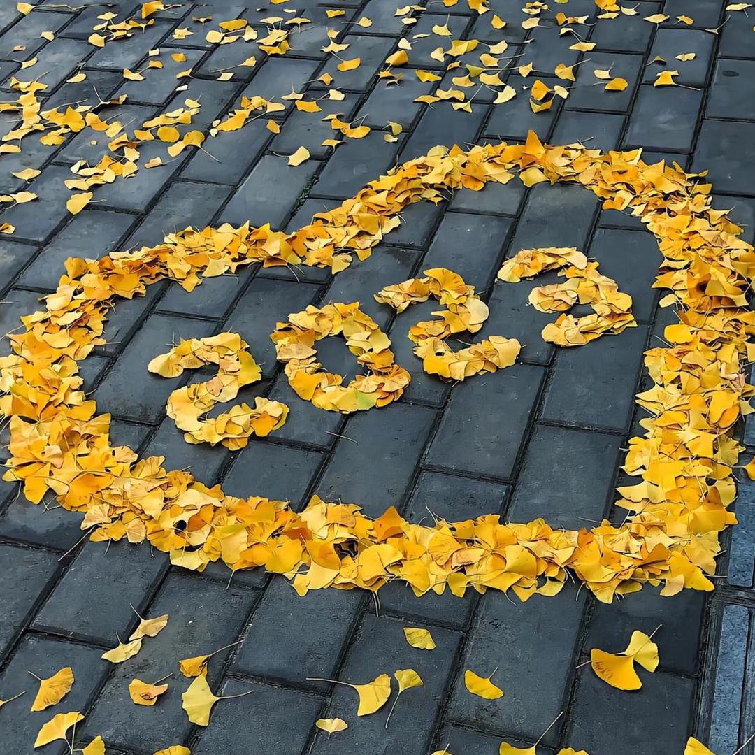 繁华散尽皆为芳华