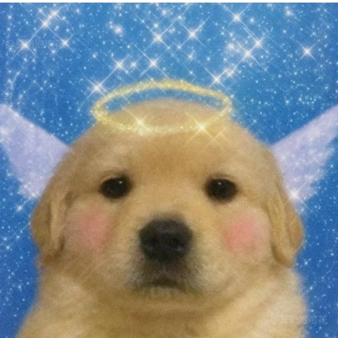 其实我是小猫伪装小狗