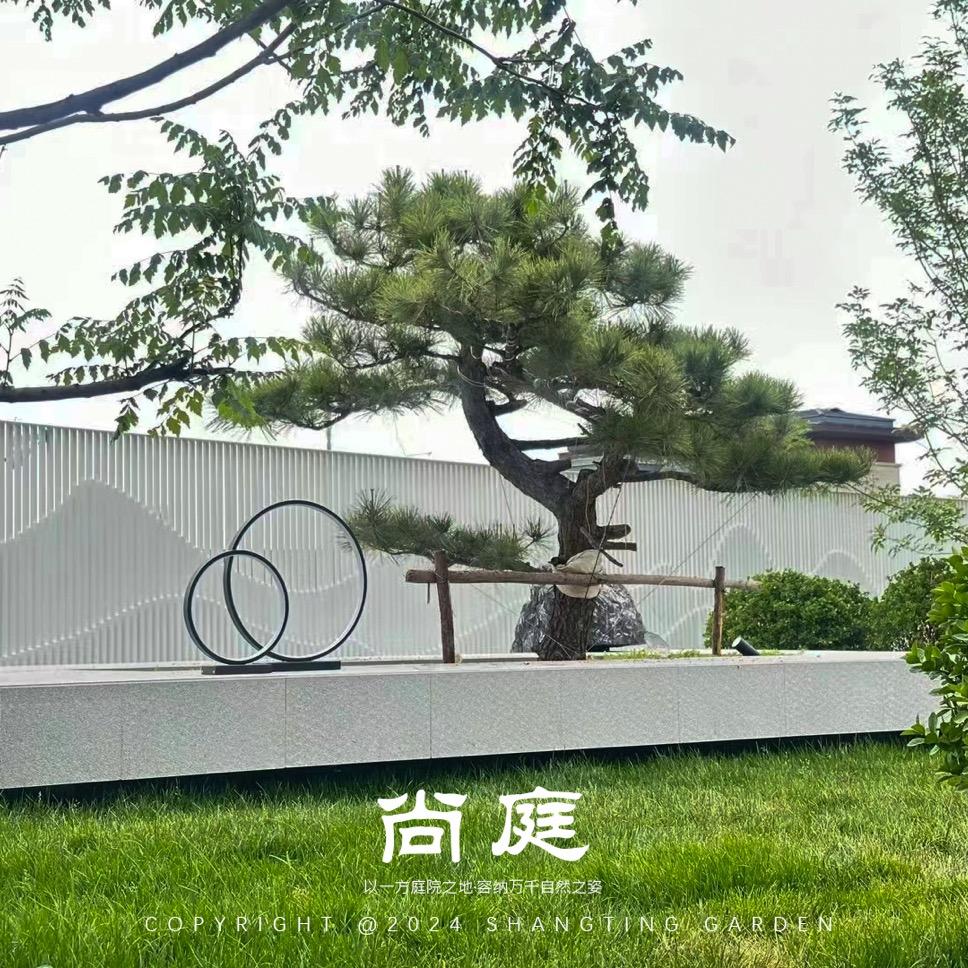 张先生@建筑景观