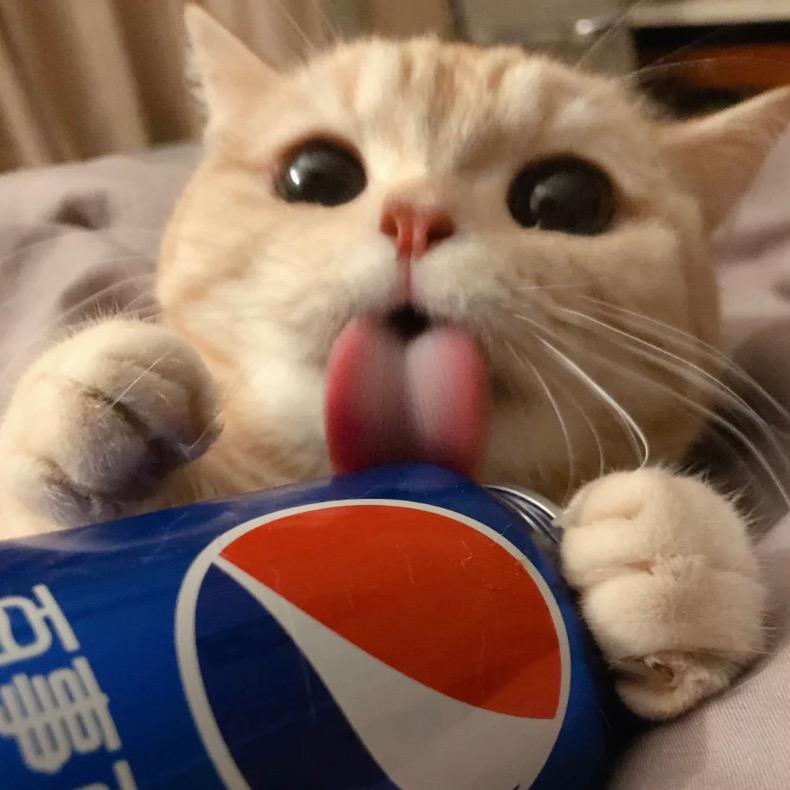小五 ʚʕ̯•͡ˑ͓•̯᷅ʔɞ