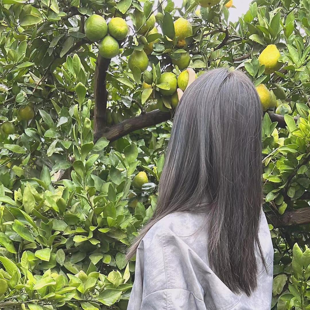 ༄🐷～X🌱S࿐