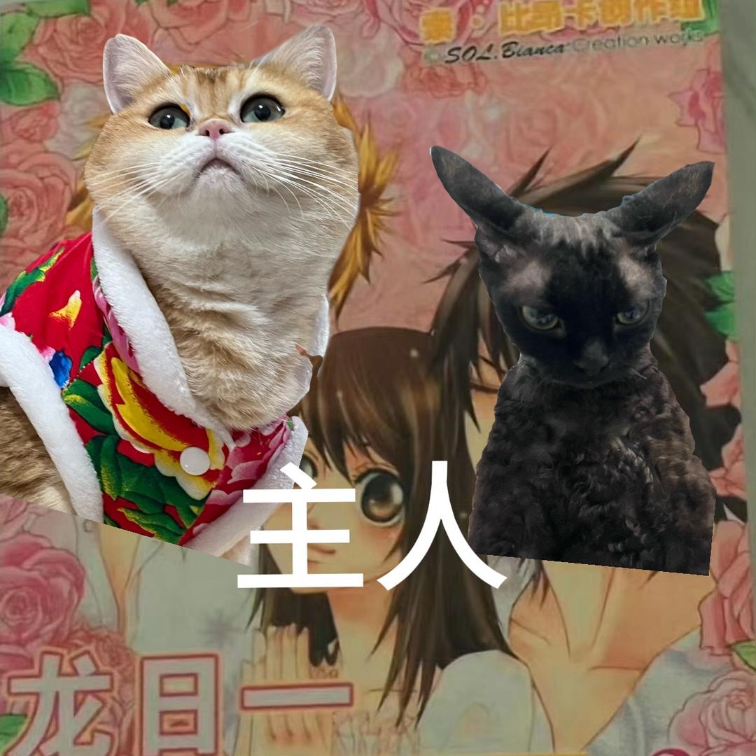 嗷啦啦噜啦吧啦